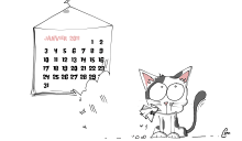 Calendrier Petitroll 2011 - calendrier petitroll seb 2011 chat jinx