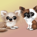 Chihuahuas