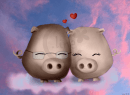 Pigs (dedicace)