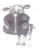 Vache