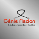 Genie Flexion (Wilogo)