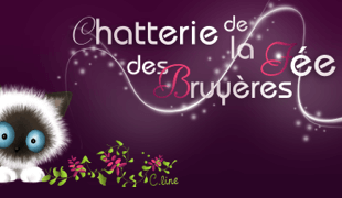 Chatterie de la Fee des Bruyeres