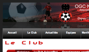 OGC Nice Association